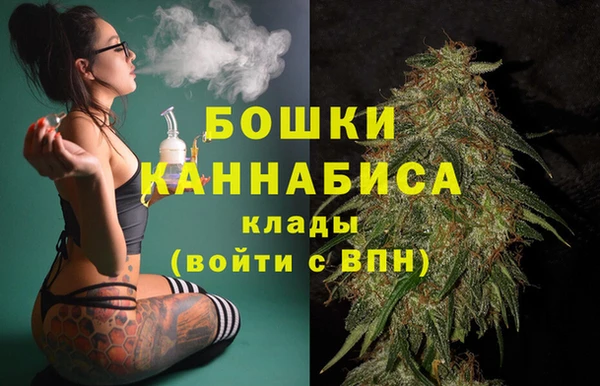 сатива Наволоки