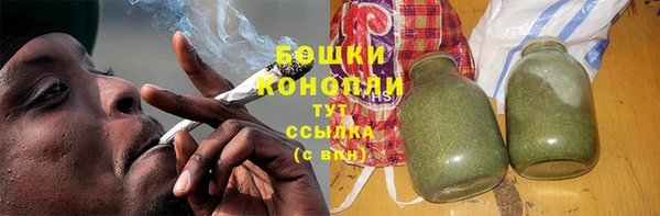 ГАЛЛЮЦИНОГЕННЫЕ ГРИБЫ Надым