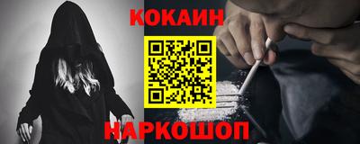 МДПВ Кингисепп