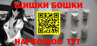 МДПВ Кингисепп