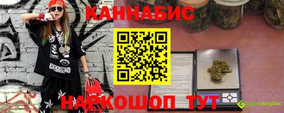 МДПВ Кингисепп