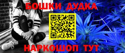 МДПВ Кингисепп