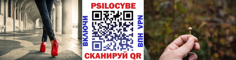 закладка  Краснотурьинск  Псилоцибиновые грибы ЛСД 