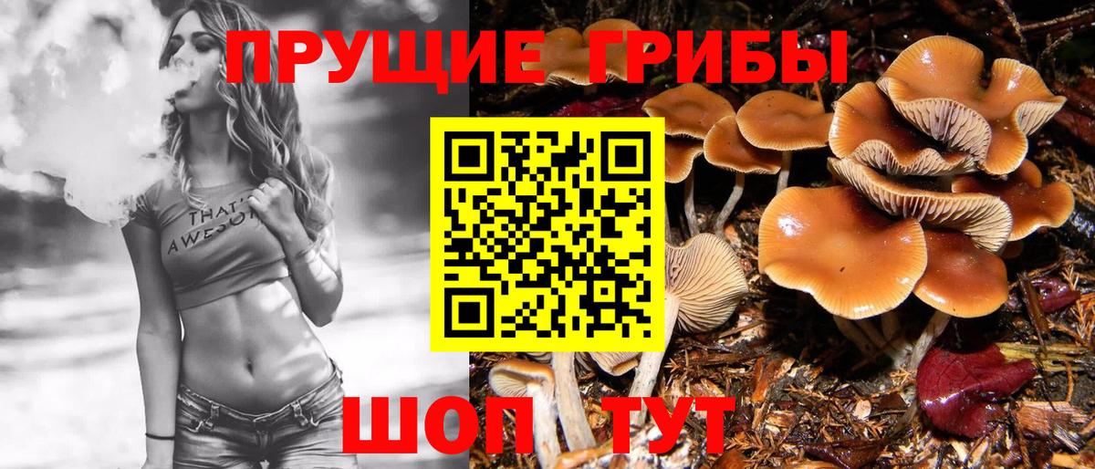 Краснотурьинск  Псилоцибиновые грибы мухоморы  Галлюциногенные грибы Cubensis  Вход с VPN 
